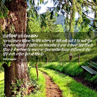Picture 02 - 2 ਰਾਜਿਆਂ 3:11 PANIRV - ਪਰ ਯਹੋਸ਼ਾਫ਼ਾਤ - Bible Verse Picture