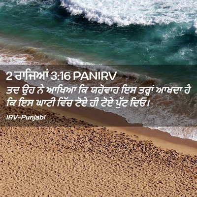 Picture 02 - 2 ਰਾਜਿਆਂ 3:16 PANIRV - ਤਦ ਉਹ ਨੇ ਆਖਿਆ ਕਿ - Bible Verse Picture