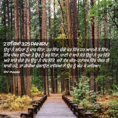 Picture 02 - 2 ਰਾਜਿਆਂ 3:25 PANIRV - ਉਨ੍ਹਾਂ ਨੇ ਸ਼ਹਿਰਾਂ - Bible Verse Picture