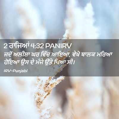 Picture 02 - 2 ਰਾਜਿਆਂ 4:32 PANIRV - ਜਦੋਂ ਅਲੀਸ਼ਾ ਘਰ - Bible Verse Picture