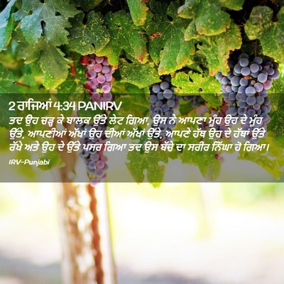 Picture 02 - 2 ਰਾਜਿਆਂ 4:34 PANIRV - ਤਦ ਉਹ ਚੜ੍ਹ ਕੇ ਬਾਲਕ - Bible Verse Picture