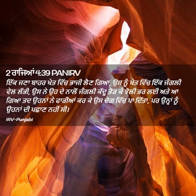 Picture 02 - 2 ਰਾਜਿਆਂ 4:39 PANIRV - ਇੱਕ ਜਣਾ ਬਾਹਰ ਖੇਤ - Bible Verse Picture