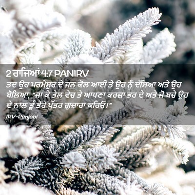 Picture 02 - 2 ਰਾਜਿਆਂ 4:7 PANIRV - ਤਦ ਉਹ ਪਰਮੇਸ਼ੁਰ ਦੇ - Bible Verse Picture