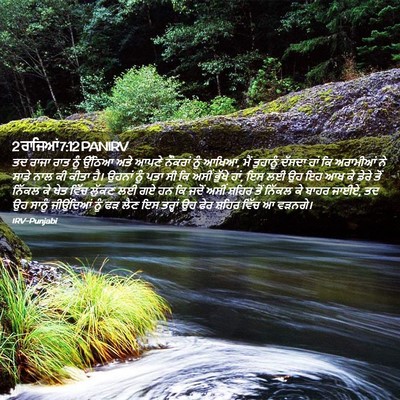 Picture 02 - 2 ਰਾਜਿਆਂ 7:12 PANIRV - ਤਦ ਰਾਜਾ ਰਾਤ ਨੂੰ - Bible Verse Picture