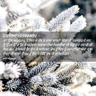 Picture 02 - 2 ਰਾਜਿਆਂ 7:2 PANIRV - ਤਦ ਉਸ ਅਹੁਦੇਦਾਰ ਨੇ - Bible Verse Picture