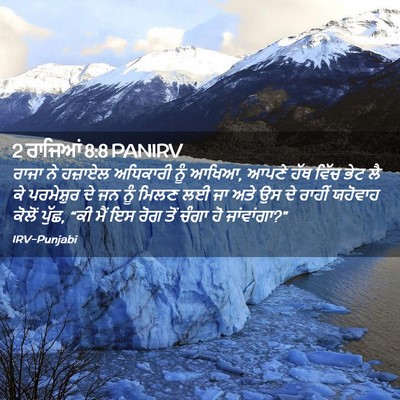 Picture 02 - 2 ਰਾਜਿਆਂ 8:8 PANIRV - ਰਾਜਾ ਨੇ ਹਜ਼ਾਏਲ - Bible Verse Picture