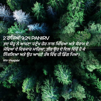 Picture 02 - 2 ਰਾਜਿਆਂ 9:24 PANIRV - ਤਦ ਯੇਹੂ ਨੇ ਆਪਣਾ - Bible Verse Picture