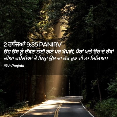 Picture 02 - 2 ਰਾਜਿਆਂ 9:35 PANIRV - ਉਹ ਉਸ ਨੂੰ ਦੱਬਣ ਲਈ - Bible Verse Picture