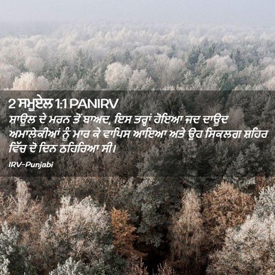 Picture 02 - 2 ਸਮੂਏਲ 1:1 PANIRV - ਸ਼ਾਊਲ ਦੇ ਮਰਨ ਤੋਂ - Bible Verse Picture