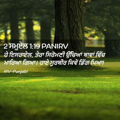 Picture 02 - 2 ਸਮੂਏਲ 1:19 PANIRV - ਹੇ ਇਸਰਾਏਲ, ਤੇਰਾ - Bible Verse Picture