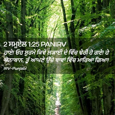 Picture 02 - 2 ਸਮੂਏਲ 1:25 PANIRV - ਹਾਏ! ਓਹ ਸੂਰਮੇ ਕਿਵੇਂ - Bible Verse Picture