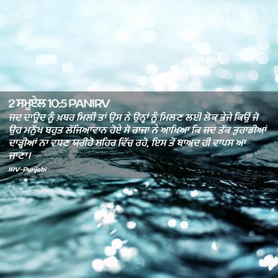 Picture 02 - 2 ਸਮੂਏਲ 10:5 PANIRV - ਜਦ ਦਾਊਦ ਨੂੰ ਖ਼ਬਰ - Bible Verse Picture