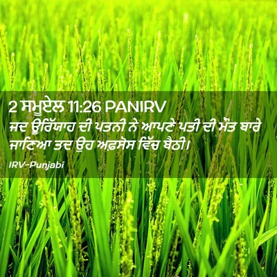 Picture 02 - 2 ਸਮੂਏਲ 11:26 PANIRV - ਜਦ ਊਰਿੱਯਾਹ ਦੀ ਪਤਨੀ - Bible Verse Picture