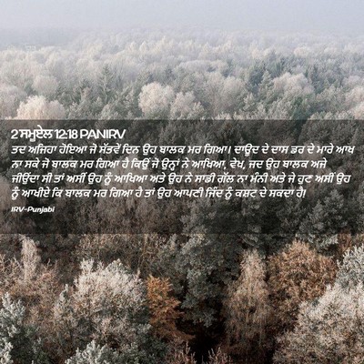 Picture 02 - 2 ਸਮੂਏਲ 12:18 PANIRV - ਤਦ ਅਜਿਹਾ ਹੋਇਆ ਜੋ - Bible Verse Picture