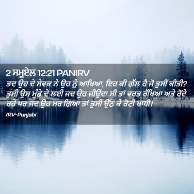 Picture 02 - 2 ਸਮੂਏਲ 12:21 PANIRV - ਤਦ ਉਹ ਦੇ ਸੇਵਕ ਨੇ ਉਹ - Bible Verse Picture