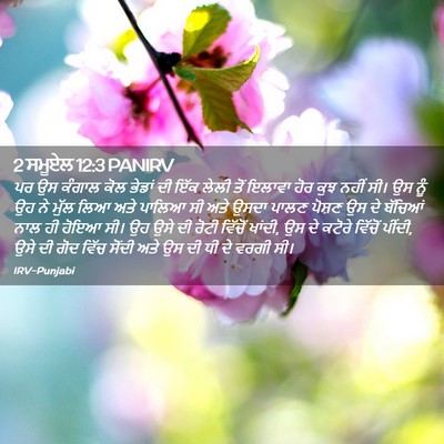 Picture 02 - 2 ਸਮੂਏਲ 12:3 PANIRV - ਪਰ ਉਸ ਕੰਗਾਲ ਕੋਲ - Bible Verse Picture