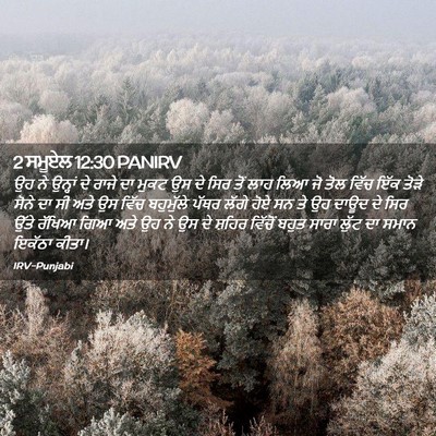 Picture 02 - 2 ਸਮੂਏਲ 12:30 PANIRV - ਉਹ ਨੇ ਉਨ੍ਹਾਂ ਦੇ - Bible Verse Picture