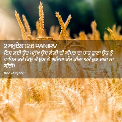 Picture 02 - 2 ਸਮੂਏਲ 12:6 PANIRV - ਇਸ ਲਈ ਉਹ ਮਨੁੱਖ ਉਸ - Bible Verse Picture