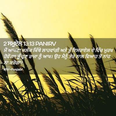 Picture 02 - 2 ਸਮੂਏਲ 13:13 PANIRV - ਮੈਂ ਆਪਣਾ ਕਲੰਕ - Bible Verse Picture