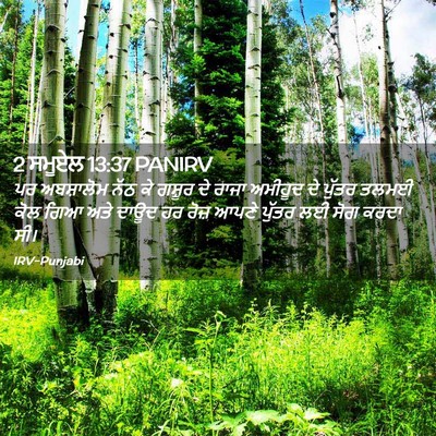 Picture 02 - 2 ਸਮੂਏਲ 13:37 PANIRV - ਪਰ ਅਬਸ਼ਾਲੋਮ ਨੱਠ ਕੇ - Bible Verse Picture