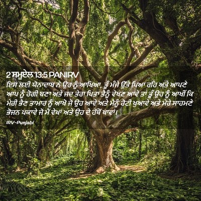 Picture 02 - 2 ਸਮੂਏਲ 13:5 PANIRV - ਇਸ ਲਈ ਯੋਨਾਦਾਬ ਨੇ ਉਹ - Bible Verse Picture