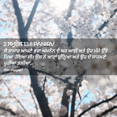 Picture 02 - 2 ਸਮੂਏਲ 13:8 PANIRV - ਸੋ ਤਾਮਾਰ ਆਪਣੇ ਭਰਾ - Bible Verse Picture