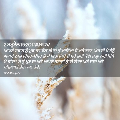 Picture 02 - 2 ਸਮੂਏਲ 15:20 PANIRV - ਆਪਣੇ ਸਥਾਨ ਨੂੰ ਮੁੜ - Bible Verse Picture