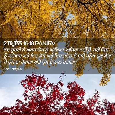 Picture 02 - 2 ਸਮੂਏਲ 16:18 PANIRV - ਤਦ ਹੂਸ਼ਈ ਨੇ - Bible Verse Picture