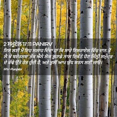 Picture 02 - 2 ਸਮੂਏਲ 17:11 PANIRV - ਇਸ ਲਈ ਮੈਂ ਇਹ ਸਲਾਹ - Bible Verse Picture