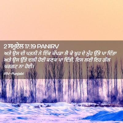 Picture 02 - 2 ਸਮੂਏਲ 17:19 PANIRV - ਅਤੇ ਉਸ ਦੀ ਪਤਨੀ ਨੇ - Bible Verse Picture