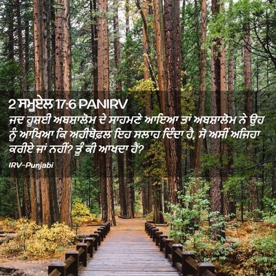 Picture 02 - 2 ਸਮੂਏਲ 17:6 PANIRV - ਜਦ ਹੂਸ਼ਈ ਅਬਸ਼ਾਲੋਮ - Bible Verse Picture
