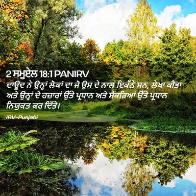 Picture 02 - 2 ਸਮੂਏਲ 18:1 PANIRV - ਦਾਊਦ ਨੇ ਉਨ੍ਹਾਂ - Bible Verse Picture
