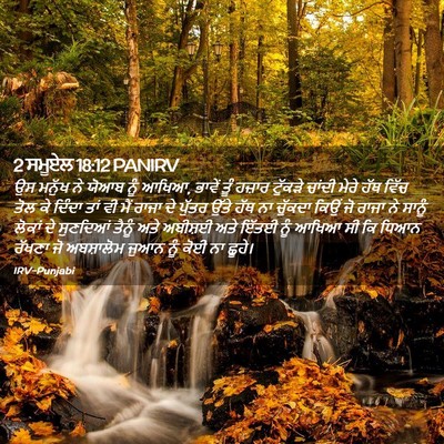 Picture 02 - 2 ਸਮੂਏਲ 18:12 PANIRV - ਉਸ ਮਨੁੱਖ ਨੇ ਯੋਆਬ - Bible Verse Picture