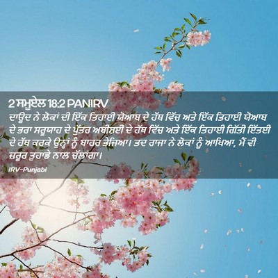 Picture 02 - 2 ਸਮੂਏਲ 18:2 PANIRV - ਦਾਊਦ ਨੇ ਲੋਕਾਂ ਦੀ - Bible Verse Picture