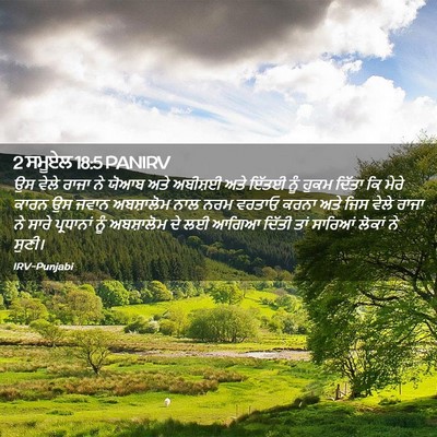 Picture 02 - 2 ਸਮੂਏਲ 18:5 PANIRV - ਉਸ ਵੇਲੇ ਰਾਜਾ ਨੇ - Bible Verse Picture
