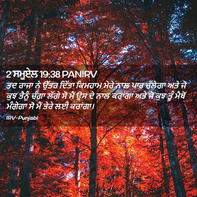 Picture 02 - 2 ਸਮੂਏਲ 19:38 PANIRV - ਤਦ ਰਾਜਾ ਨੇ ਉੱਤਰ - Bible Verse Picture