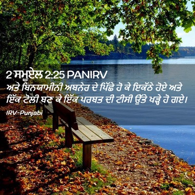 Picture 02 - 2 ਸਮੂਏਲ 2:25 PANIRV - ਅਤੇ ਬਿਨਯਾਮੀਨੀ - Bible Verse Picture