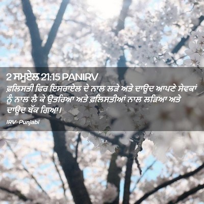 Picture 02 - 2 ਸਮੂਏਲ 21:15 PANIRV - ਫ਼ਲਿਸਤੀ ਫਿਰ - Bible Verse Picture