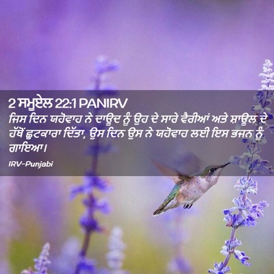 Picture 02 - 2 ਸਮੂਏਲ 22:1 PANIRV - ਜਿਸ ਦਿਨ ਯਹੋਵਾਹ ਨੇ - Bible Verse Picture