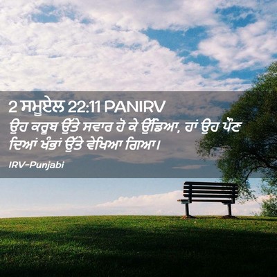 Picture 02 - 2 ਸਮੂਏਲ 22:11 PANIRV - ਉਹ ਕਰੂਬ ਉੱਤੇ ਸਵਾਰ - Bible Verse Picture