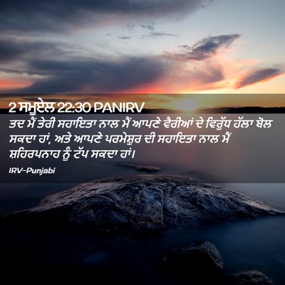 Picture 02 - 2 ਸਮੂਏਲ 22:30 PANIRV - ਤਦ ਮੈਂ ਤੇਰੀ ਸਹਾਇਤਾ - Bible Verse Picture