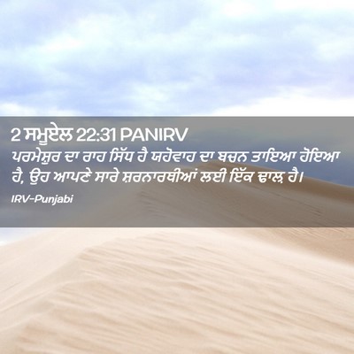 Picture 02 - 2 ਸਮੂਏਲ 22:31 PANIRV - ਪਰਮੇਸ਼ੁਰ ਦਾ ਰਾਹ - Bible Verse Picture