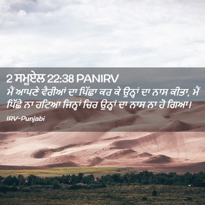 Picture 02 - 2 ਸਮੂਏਲ 22:38 PANIRV - ਮੈਂ ਆਪਣੇ ਵੈਰੀਆਂ ਦਾ - Bible Verse Picture