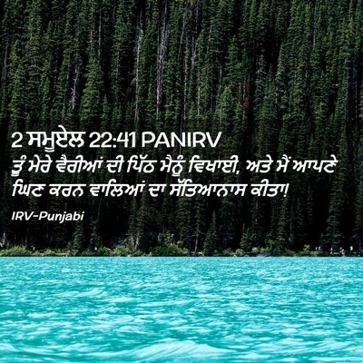 Picture 02 - 2 ਸਮੂਏਲ 22:41 PANIRV - ਤੂੰ ਮੇਰੇ ਵੈਰੀਆਂ ਦੀ - Bible Verse Picture