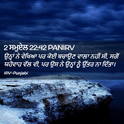 Picture 02 - 2 ਸਮੂਏਲ 22:42 PANIRV - ਉਨ੍ਹਾਂ ਨੇ ਵੇਖਿਆ ਪਰ - Bible Verse Picture