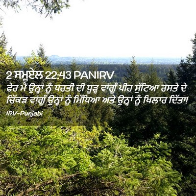Picture 02 - 2 ਸਮੂਏਲ 22:43 PANIRV - ਫੇਰ ਮੈਂ ਉਨ੍ਹਾਂ ਨੂੰ - Bible Verse Picture