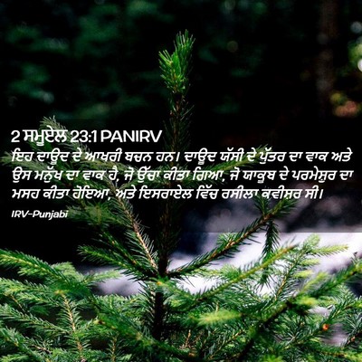 Picture 02 - 2 ਸਮੂਏਲ 23:1 PANIRV - ਇਹ ਦਾਊਦ ਦੇ ਆਖਰੀ ਬਚਨ - Bible Verse Picture