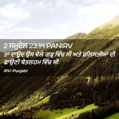 Picture 02 - 2 ਸਮੂਏਲ 23:14 PANIRV - ਤਾਂ ਦਾਊਦ ਉਸ ਵੇਲੇ - Bible Verse Picture