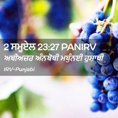 Picture 02 - 2 ਸਮੂਏਲ 23:27 PANIRV - ਅਬੀਅਜ਼ਰ ਅੰਨਥੋਥੀ - Bible Verse Picture