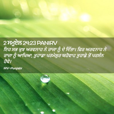 Picture 02 - 2 ਸਮੂਏਲ 24:23 PANIRV - ਇਹ ਸਭ ਕੁਝ ਅਰਵਨਾਹ ਨੇ - Bible Verse Picture